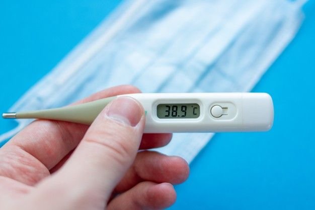 Casos de febre oropouche aumentam no estado do Rio de Janeiro