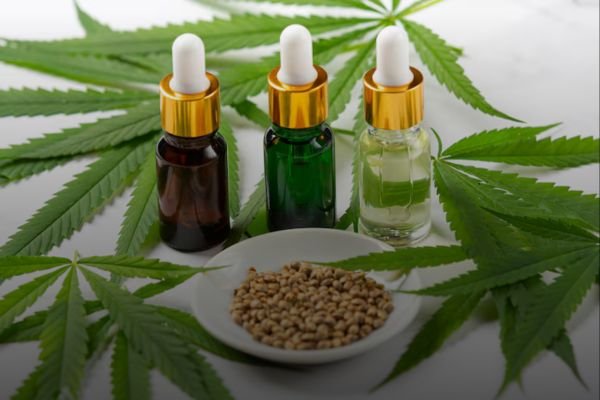 ANVISA APROVA CULTIVO DE CANNABIS POR EMPRESAS E AMPLIA ACESSO.