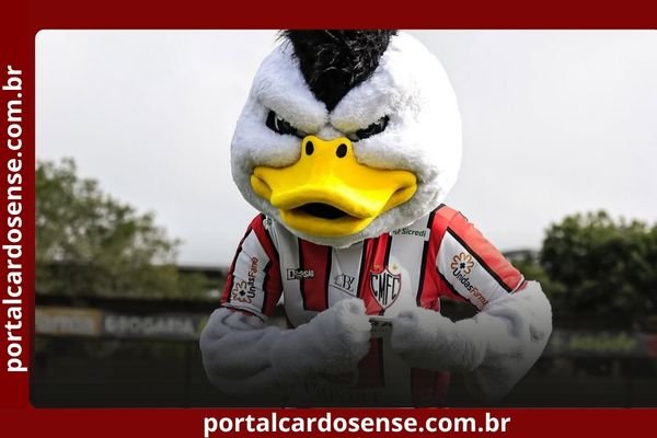 Cardoso Moreira garante classificação antecipada às quartas da Série C mesmo sem entrar em campo.