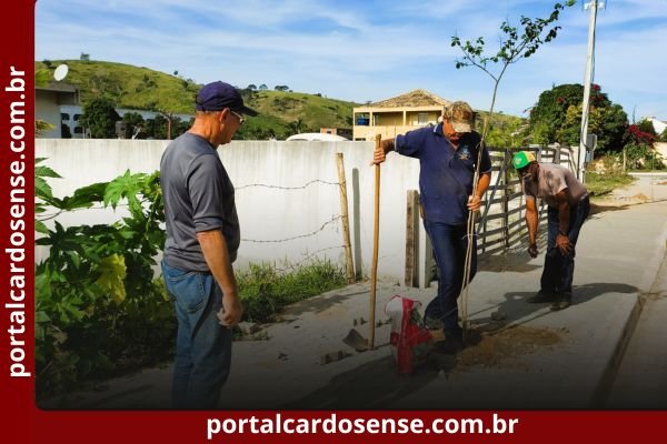 Arborização urbana leva mais verde ao Bairro Cachoeiro em Cardoso Moreira.
